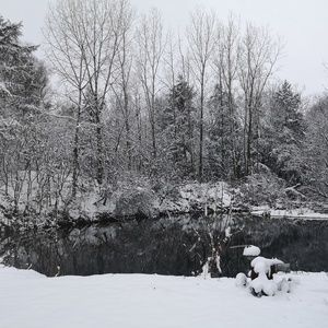 Meet your Posher, Elly